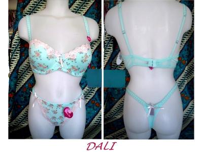 Ensemble DALI