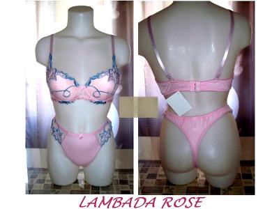 Ensemble LAMBADA ROSE