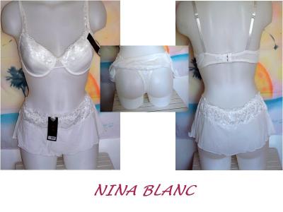Ensemble NINA