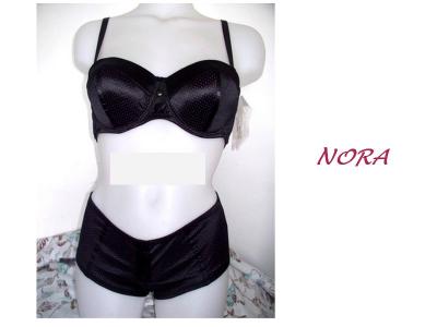 Ensemble NORA