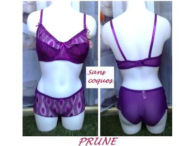 Ensemble PRUNE
