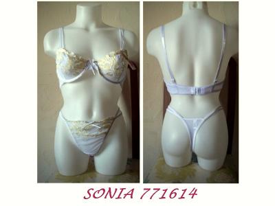 Ensemble SONIA