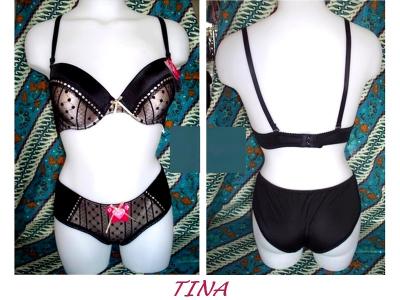 Ensemble TINA