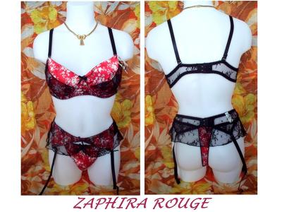 Ensemble ZAPHIRA ROUGE